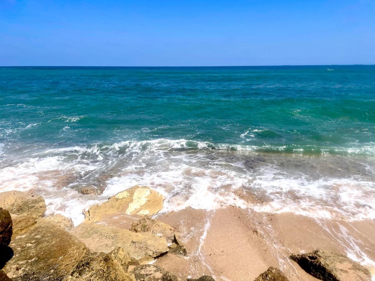 Sea View Cozy Apartment Hayfa Dış mekan fotoğraf